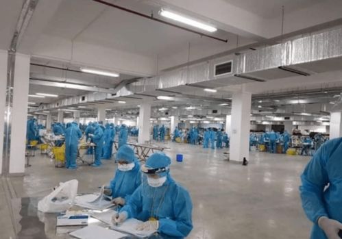 越南疫情警示 工廠聚集感染、瞞報與關聯行業的風險連鎖反應